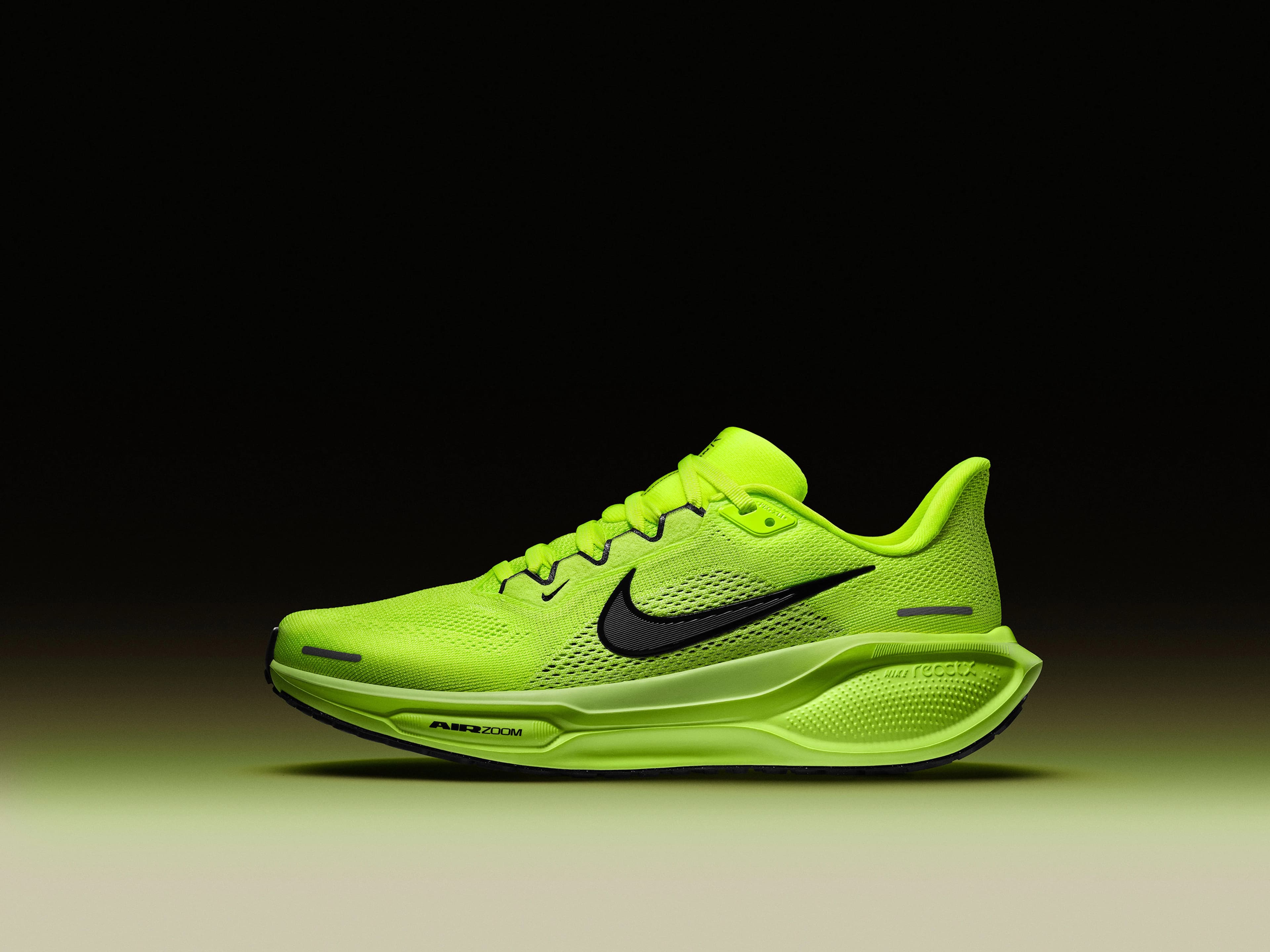 Nike Pegasus 41